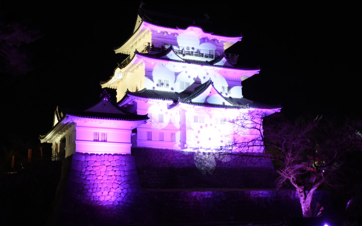 小田原城が冬桜のイルミネーションに！
